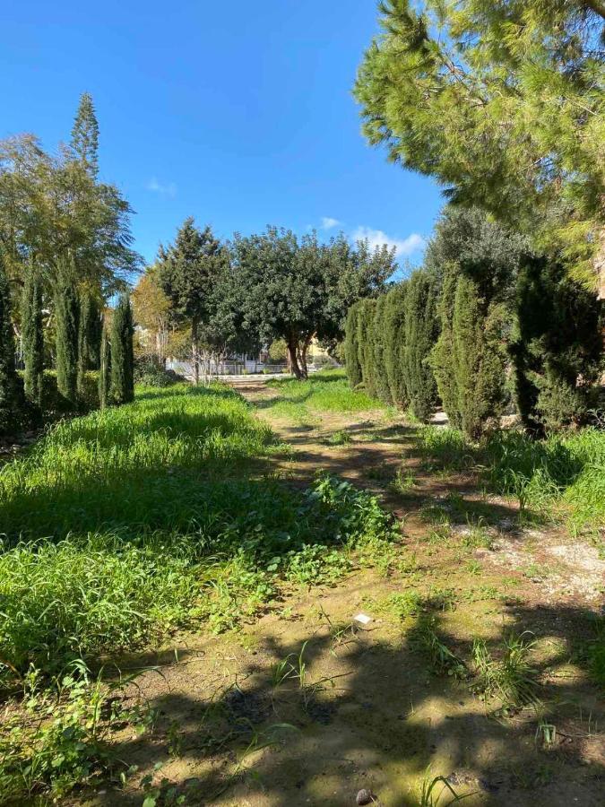 Апартаменти Limnaria Gardens K203 In